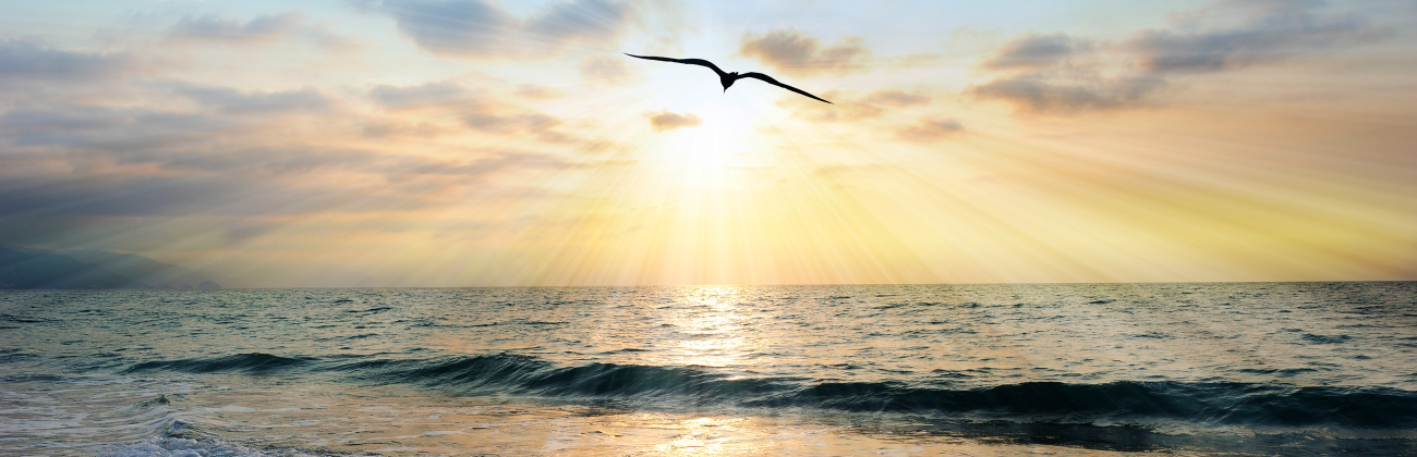 Overcoming grief banner